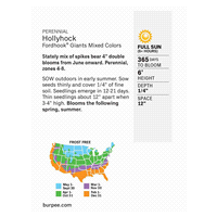 slide 3 of 5, Burpee Per Hollyhock Fordhook Giants Mix, 1 ct