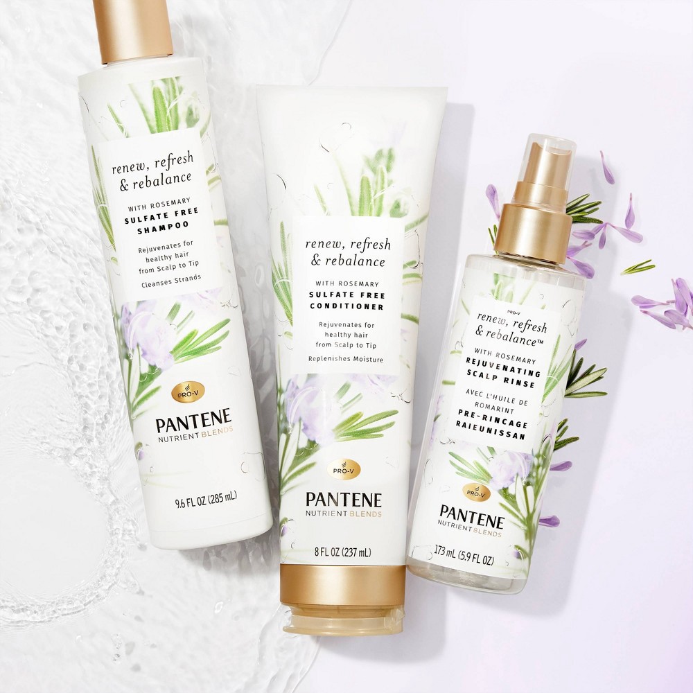 slide 7 of 7, Pantene Sulfate Free Rosemary Shampoo to Renew Refresh and Rebalance, Nutrient Blends - 9.6 fl oz, 9.6 fl oz