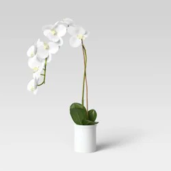 Small Potted Orchid - Threshold™: Faux Floral in Ceramic Pot, Indoor Decorative Plant
