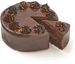 Bakery Chocolate Cake with Chocolate Fudge Icing