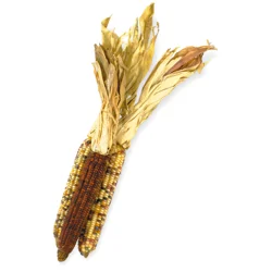 Produce Decorative Indian Corn