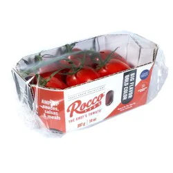 Pure Flavor Fresh Rocco Red Tomatoes