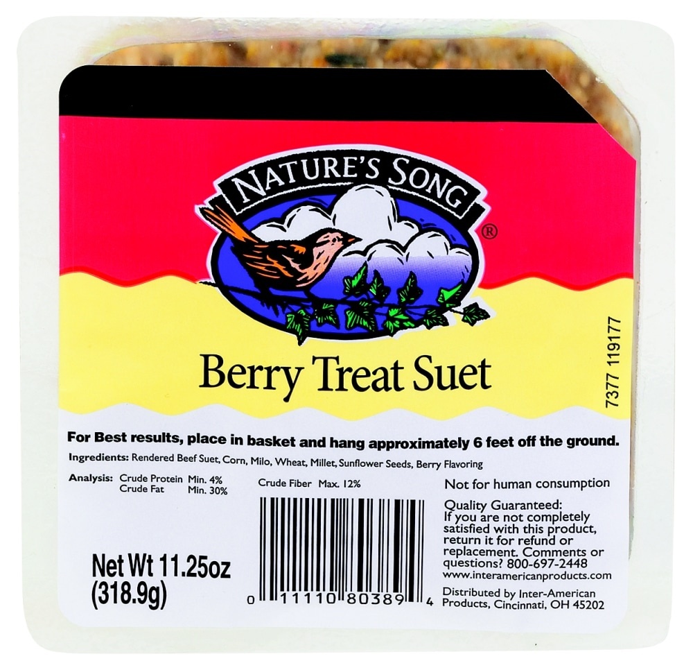 slide 1 of 1, Nature's Song Berry Treat Suet, 11.25 oz