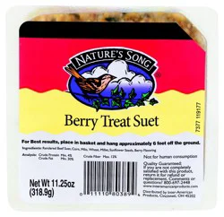 Nature's Song Berry Treat Suet