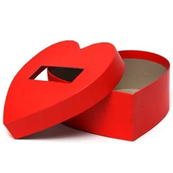 9"x3.3" Large Heart Shaped Valentine's Day Gift Box - Spritz™