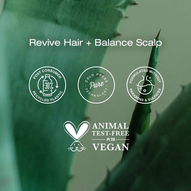 slide 4 of 7, Raw Sugar The Scalp Scrub Micro Polish - Eucalyptus + Aloe - 5 fl oz, 5 fl oz