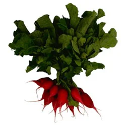 Red Radishes 1 Bunch