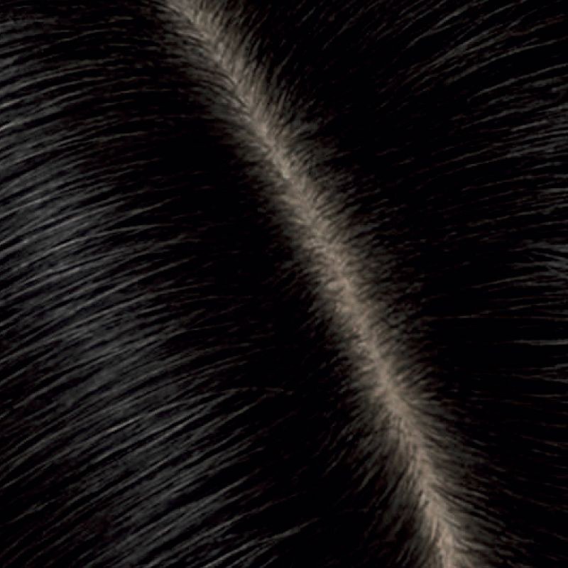 slide 3 of 6, Root Touch-Up by Natural Instincts Permanent Hair Color Cream Kit - Black, 1 ct