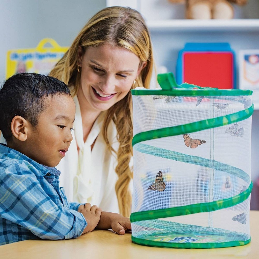 slide 3 of 4, Insect Lore Butterfly Garden Kit, 1 ct