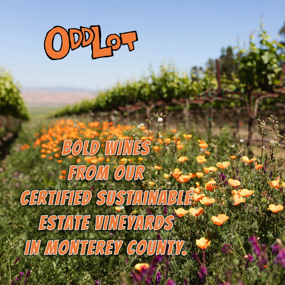 slide 4 of 6, Odd Lot Cabernet Sauvignon-Syrah Red Blend Wine, 750 ml