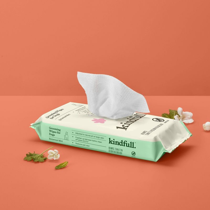 slide 2 of 6, Botanical Mint Dog Grooming Wipes - 60ct - Kindfull™, 60 ct