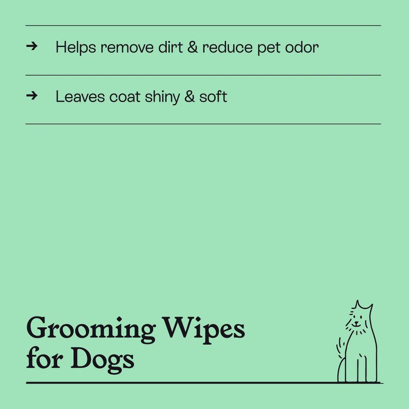 slide 4 of 6, Botanical Mint Dog Grooming Wipes - 60ct - Kindfull™, 60 ct
