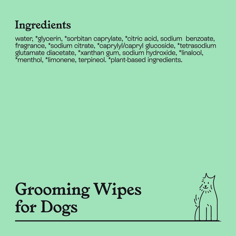 slide 5 of 6, Botanical Mint Dog Grooming Wipes - 60ct - Kindfull™, 60 ct