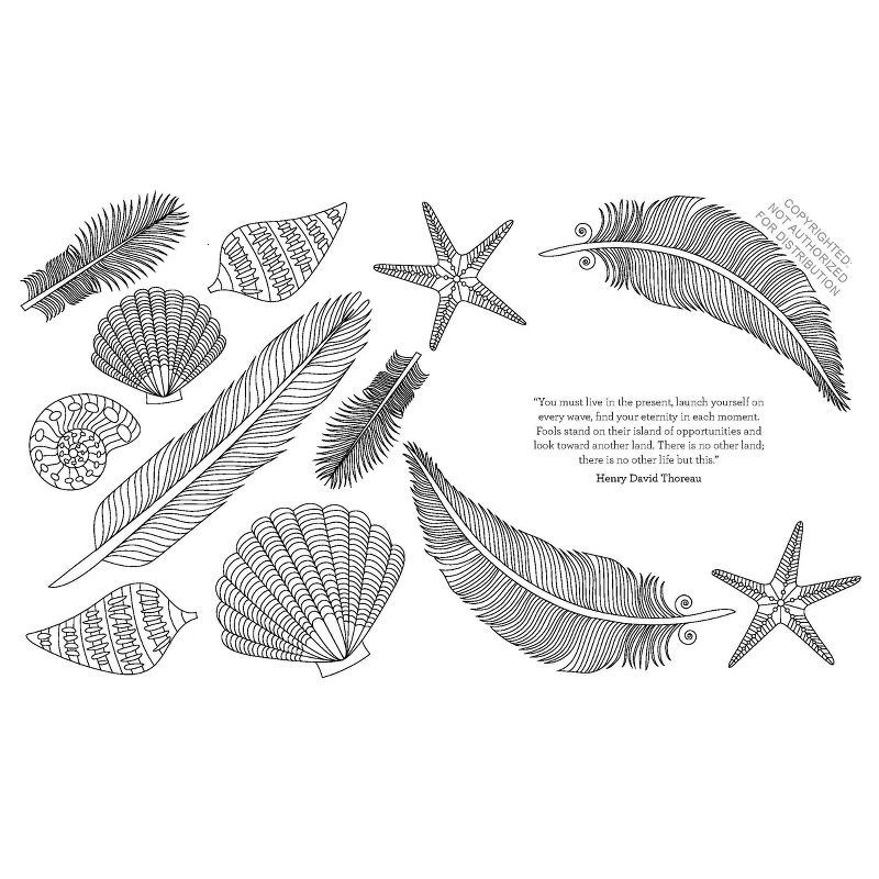 slide 3 of 3, The Coloring Book of Mindfulness: Adult Creative Thinking & Relaxation, 96 Pages, Chronicle Books, 1 ct