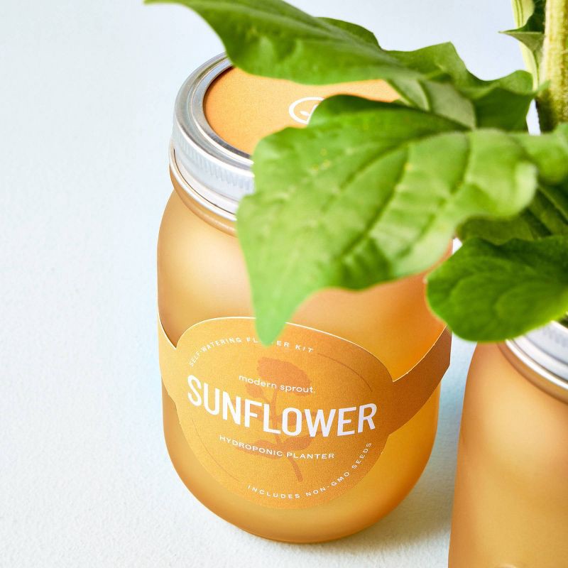 slide 7 of 8, Modern Sprout Pint Jars Flower Garden Seed Kits - SunFlower, 1 ct