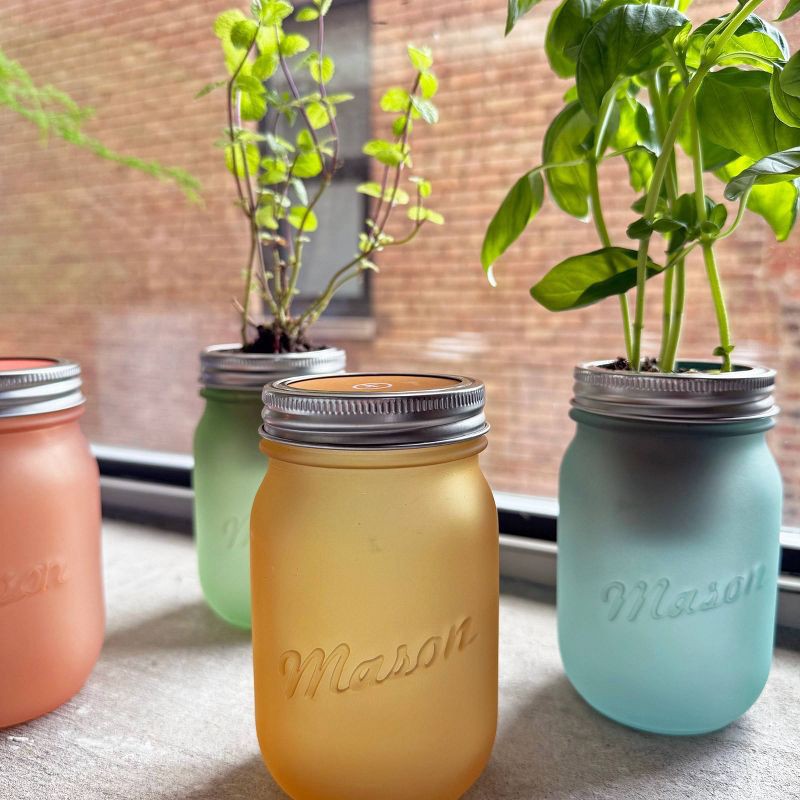 slide 8 of 8, Modern Sprout Pint Jars Flower Garden Seed Kits - SunFlower, 1 ct