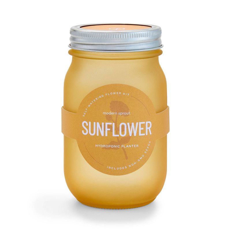 slide 1 of 8, Modern Sprout Pint Jars Flower Garden Seed Kits - SunFlower, 1 ct