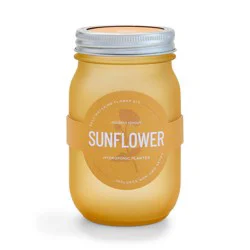 Modern Sprout Pint Jars Flower Garden Seed Kits - SunFlower