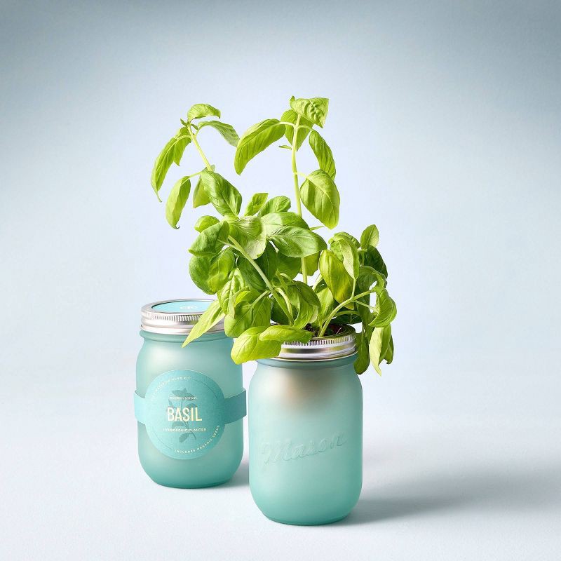 slide 8 of 8, Modern Sprout Pint Jars Herb Garden Seed Kits - Basil, 1 ct