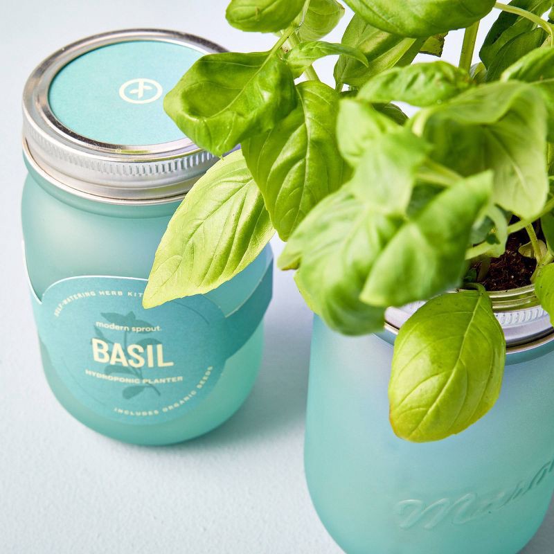 slide 7 of 8, Modern Sprout Pint Jars Herb Garden Seed Kits - Basil, 1 ct