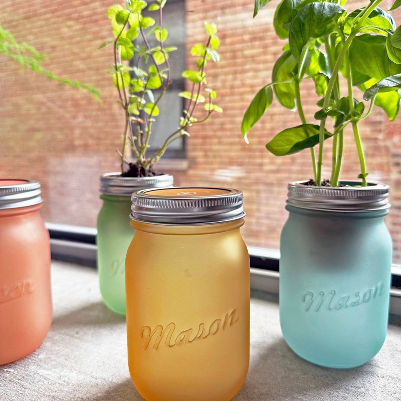 slide 6 of 8, Modern Sprout Pint Jars Herb Garden Seed Kits - Basil, 1 ct