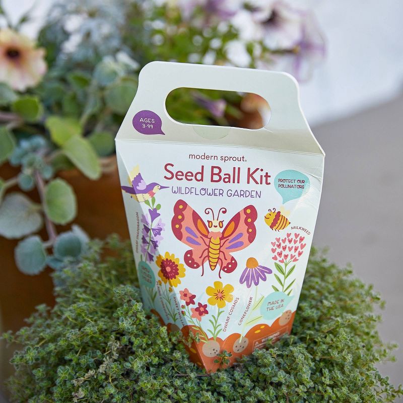 slide 5 of 5, Modern Sprout DIY Garden Seedball Kit - Wildflower, 1 ct