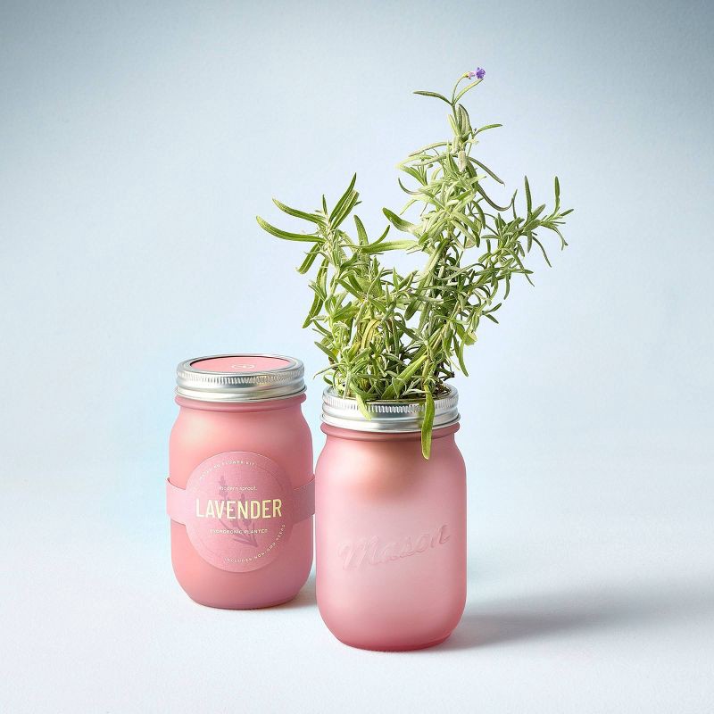 slide 7 of 7, Modern Sprout Pint Jars Flower Garden Seed Kits - Lavender, 1 ct