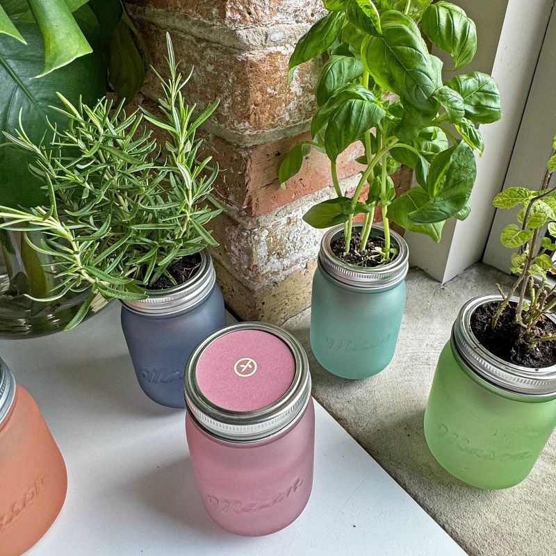 slide 3 of 7, Modern Sprout Pint Jars Flower Garden Seed Kits - Lavender, 1 ct