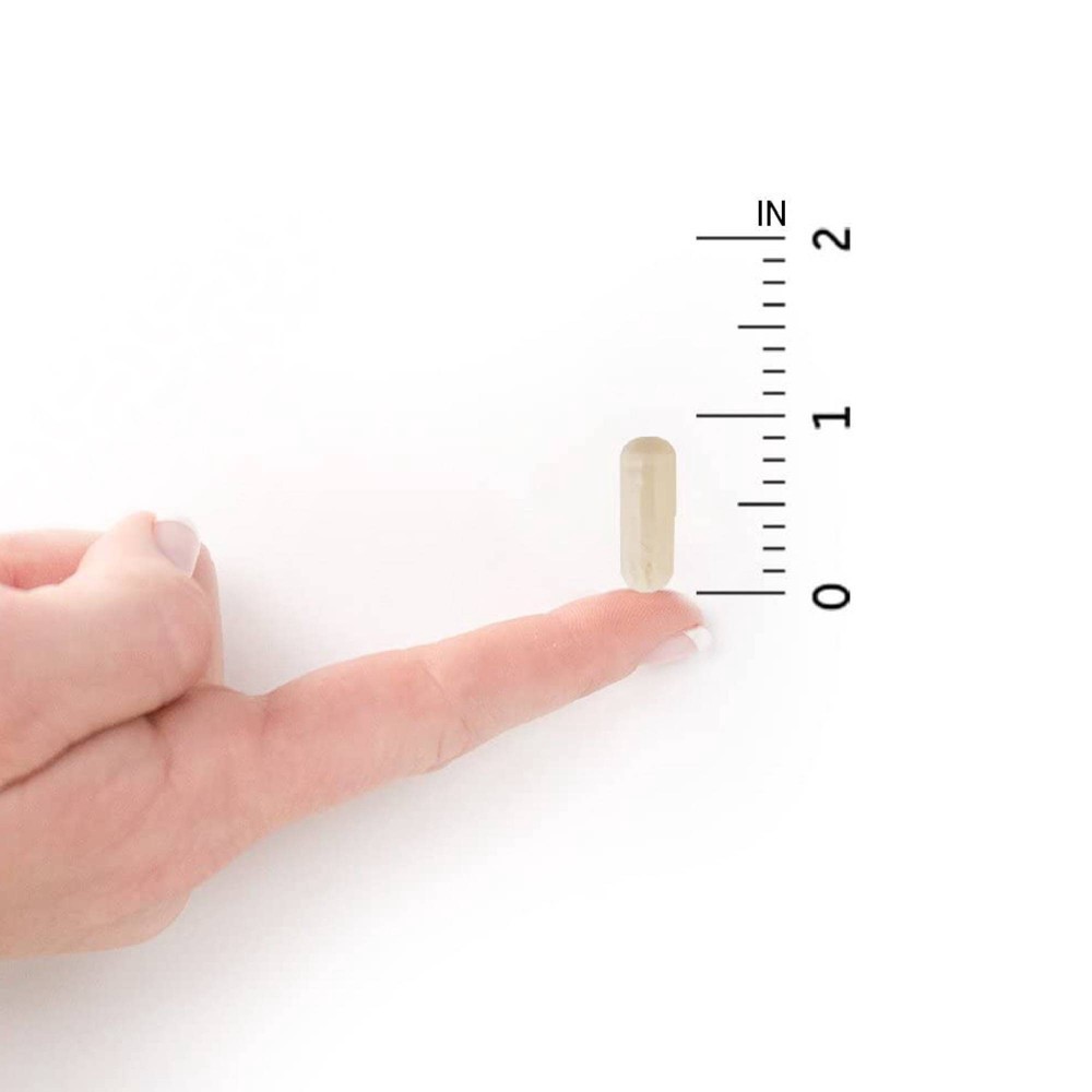 slide 7 of 7, Garden of Life Dr. Formulated Digestive & Stress Care Probiotic Capsules - 30ct, 30 ct