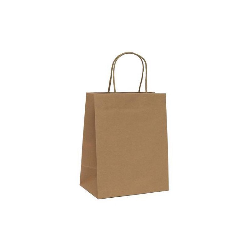 slide 2 of 4, 4pk Cub Bag Brown - Spritz™, 4 ct