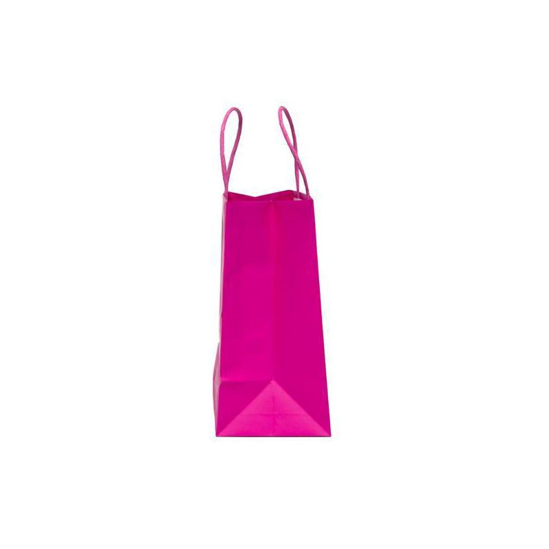 slide 3 of 4, 4pk Cub Bag Hot Pink - Spritz™, 4 ct