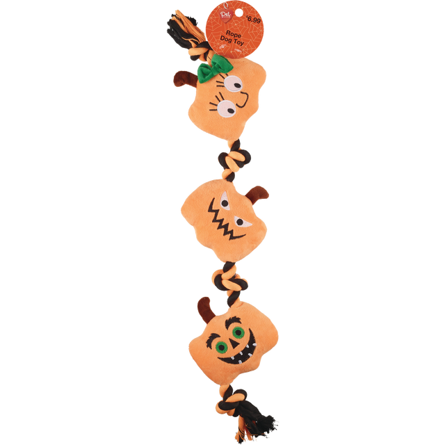 slide 1 of 1, Pumpkin & Skull On A Rope, 1 ct