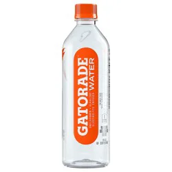 Gatorade Purified Water With Electrolytes For Taste 20 fl oz