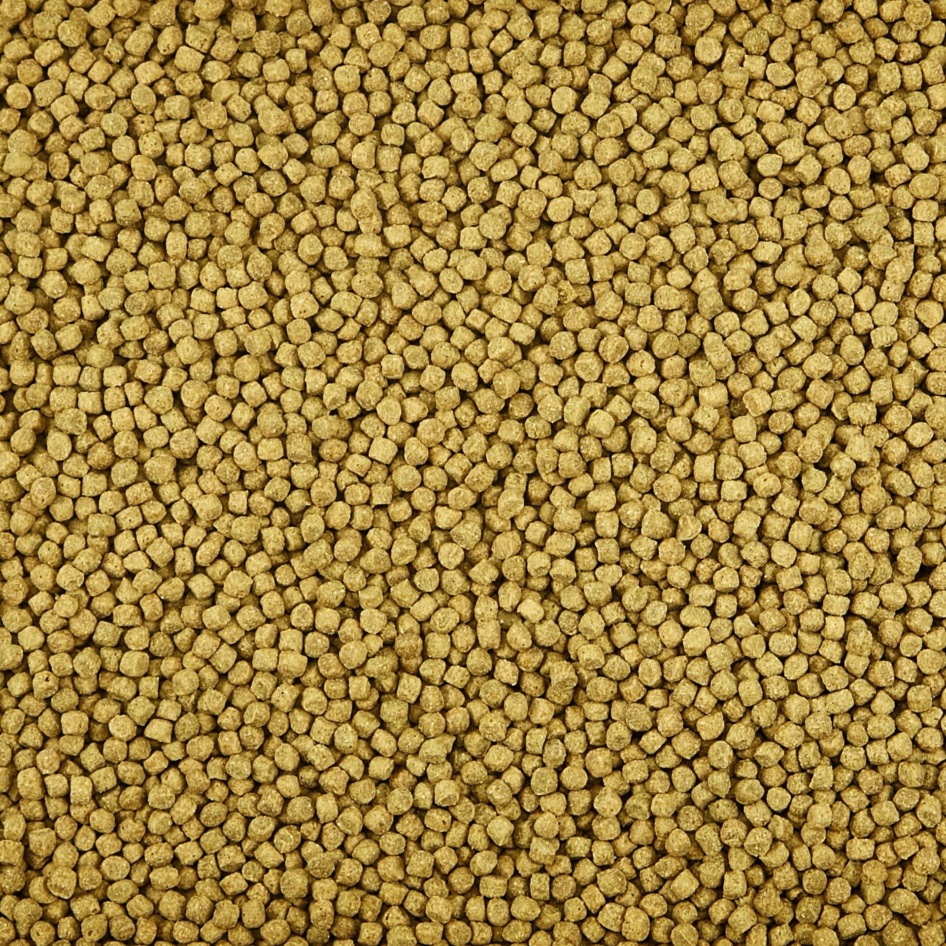 slide 10 of 10, Kaytee Koi's Choice Koi Floating Fish Food 10 LB Bag, 10 lb