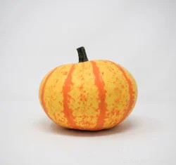 Royalty Ornamental Pumpkin - EA