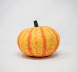 Royalty Ornamental Pumpkin - EA