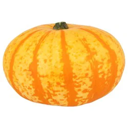 Royalty Ornamental Pumpkin - EA