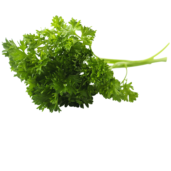 slide 1 of 1, Curly Parsley, 1 ct