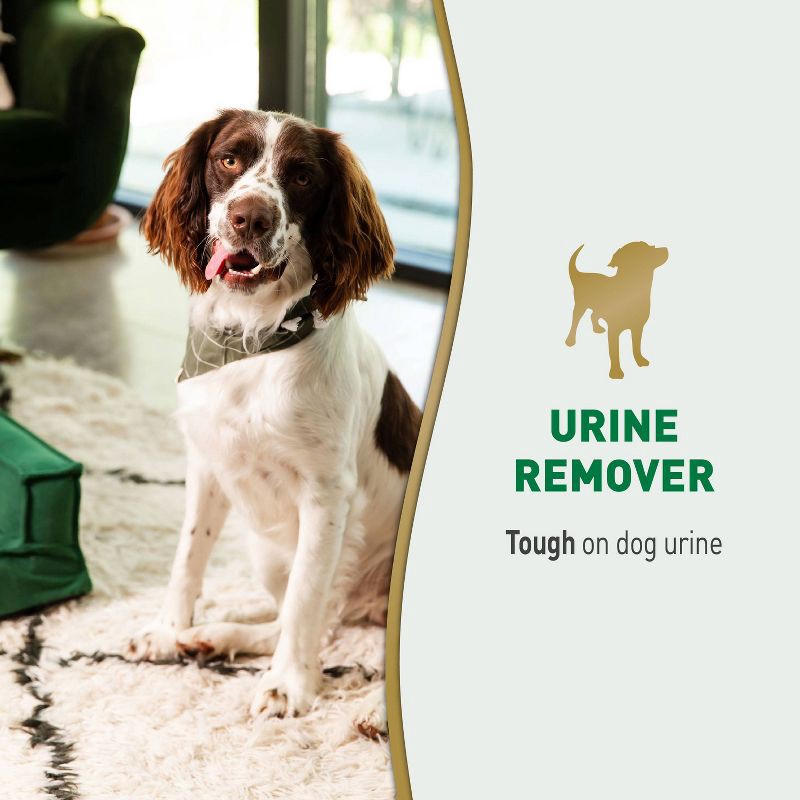 slide 4 of 9, Nature's Miracle Dog Urine Remover Spray - 24 fl oz, 24 fl oz