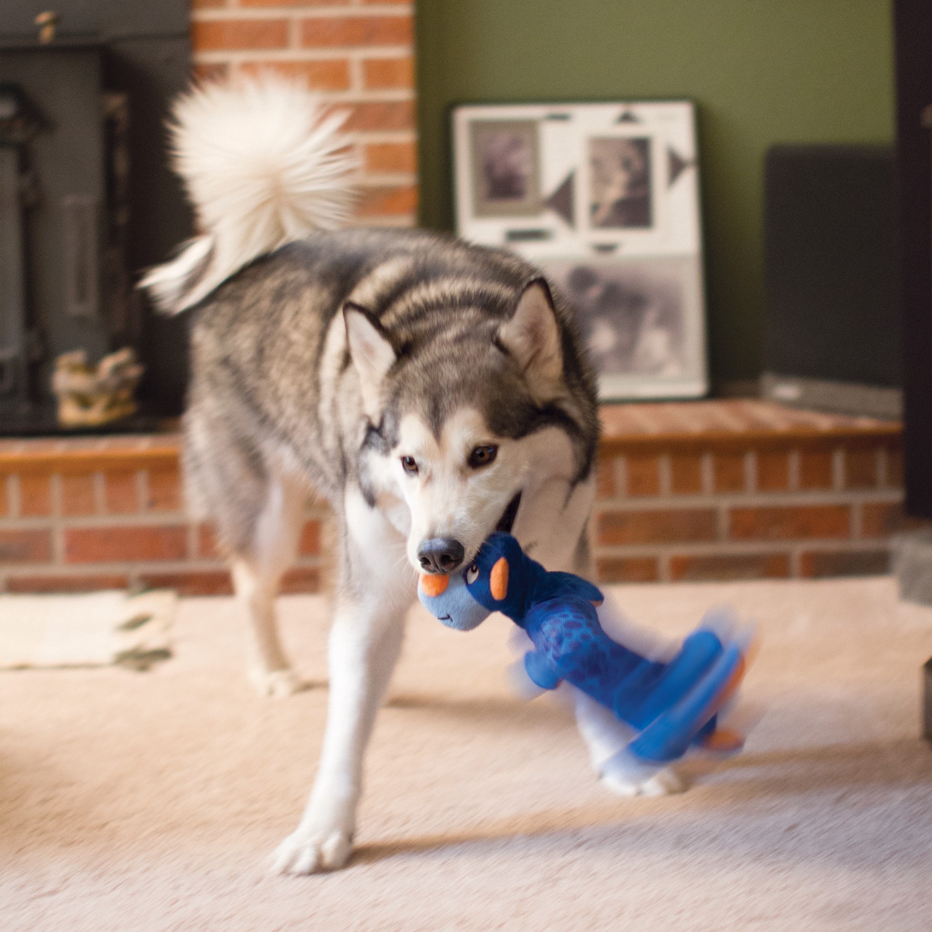 slide 4 of 4, KONG Shakers™ Dragon Lg/XL, 1 ct