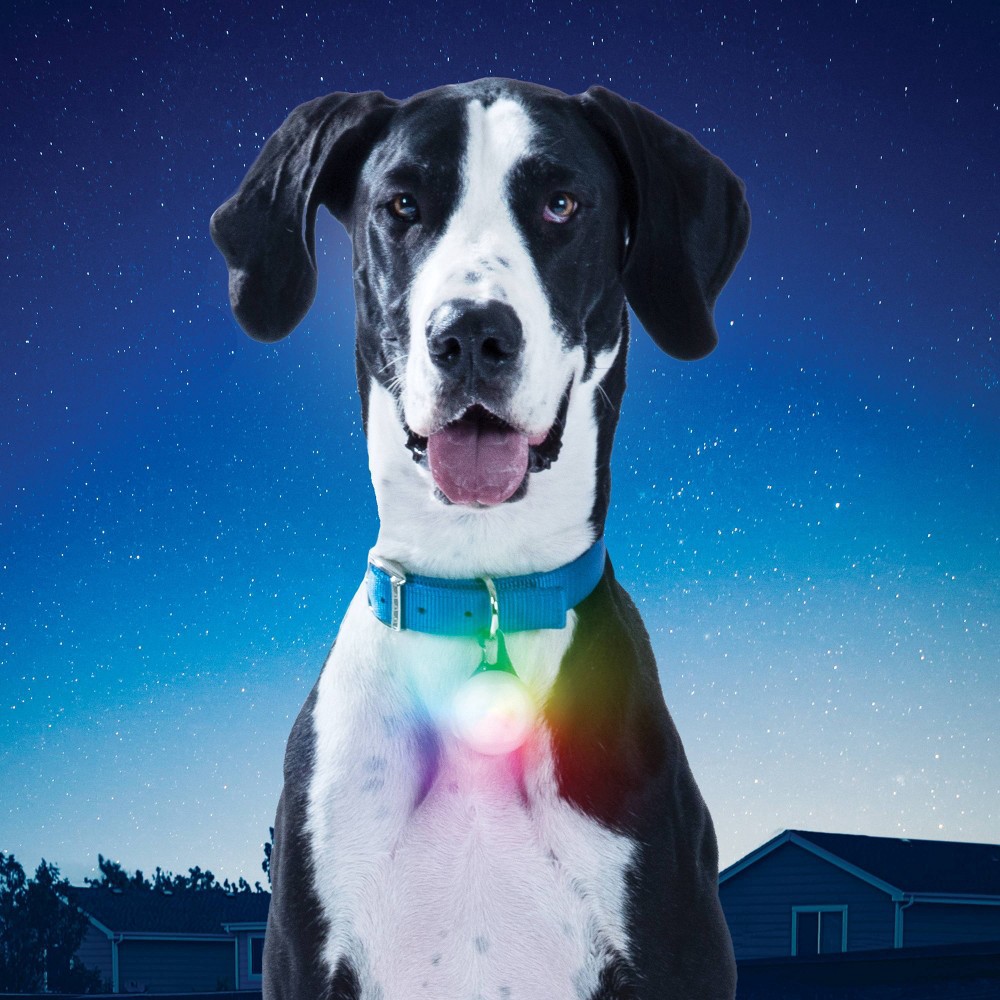 slide 7 of 12, Nite Ize SpotLit Rechargeable Disc-O Light Dog Collar - XL, 1 ct