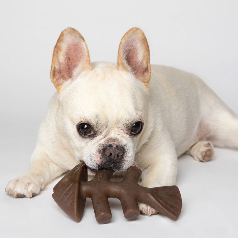 slide 5 of 7, Benebone Fish Dog Bone Chew Toy - M, 1 ct