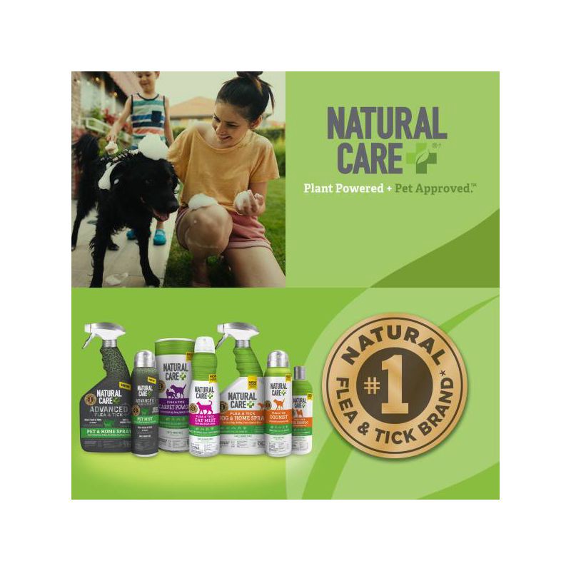 slide 5 of 5, Natural Care Flea & Tick Shampoo for Dogs - 12 fl oz, 12 fl oz