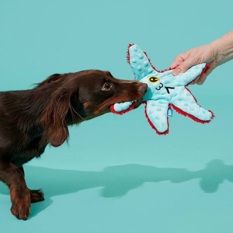 slide 2 of 5, BARK Carla Starfish Dog Toy, 1 ct