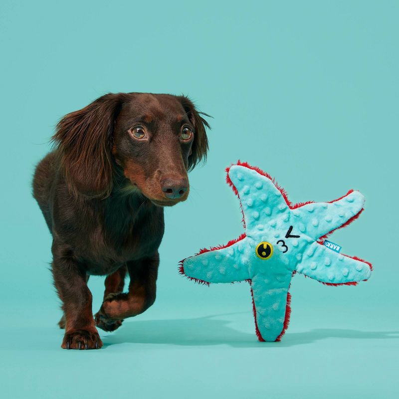 slide 4 of 5, BARK Carla Starfish Dog Toy, 1 ct