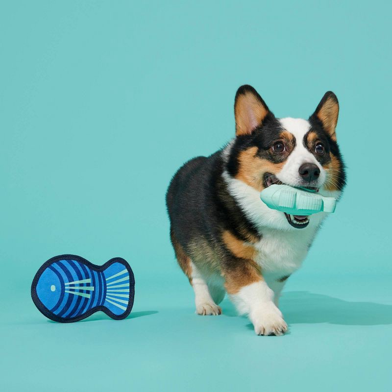 Bark Super Chewer Blue Rad Herring Fish Dog Toy : Target