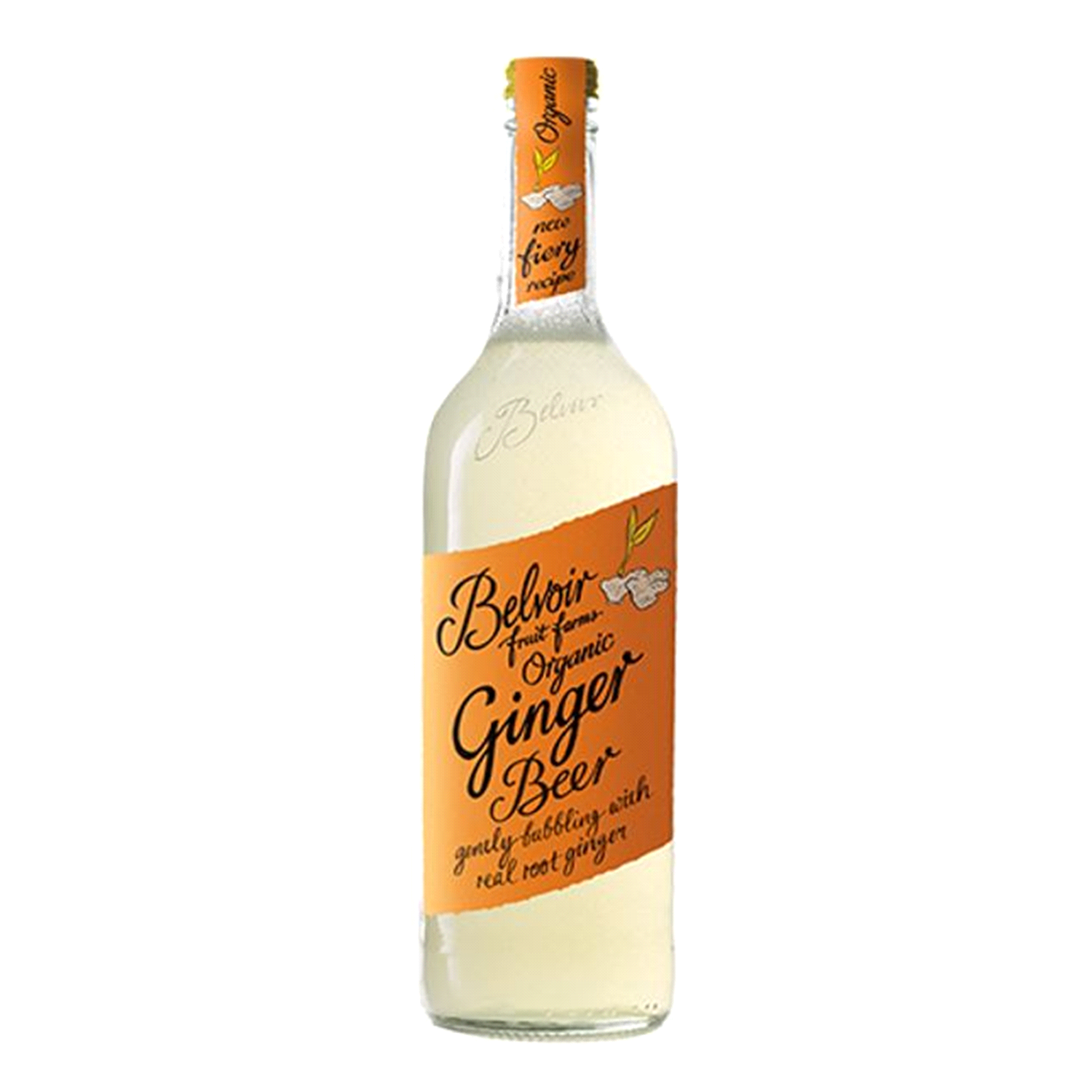 slide 1 of 1, Belvoir Farm Organic Ginger Beer Sparkling Soft Drink - 25.4 fl oz, 25.4 fl oz