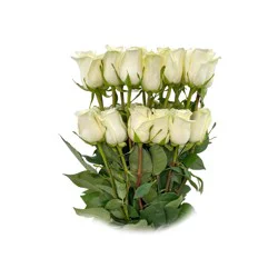 BLOOMS by H-E-B Farmers Bunch Assorted 24 Stem Roses