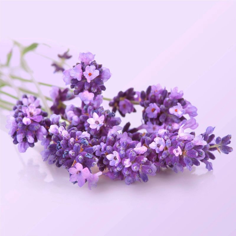 slide 8 of 10, Beloved Lavender & Chamomile Body Cream 10oz, 10 oz