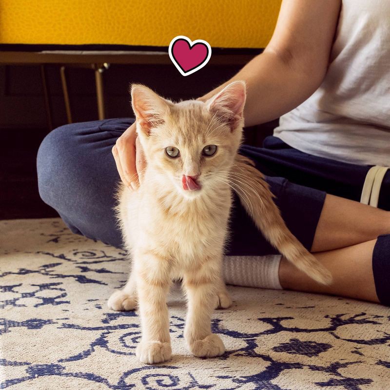 slide 7 of 11, Temptations Salmon and Milk Flavor Crunchy Kitten Treats - 6.3oz, 6.3 oz